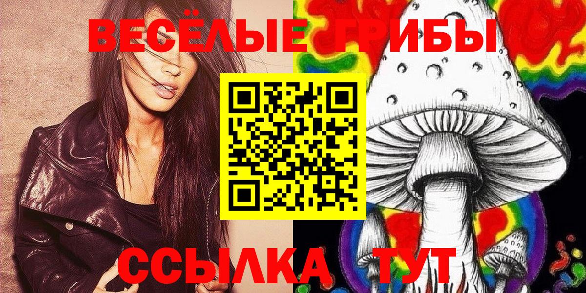Псилоцибиновые грибы прущие грибы Гусь-Хрустальный